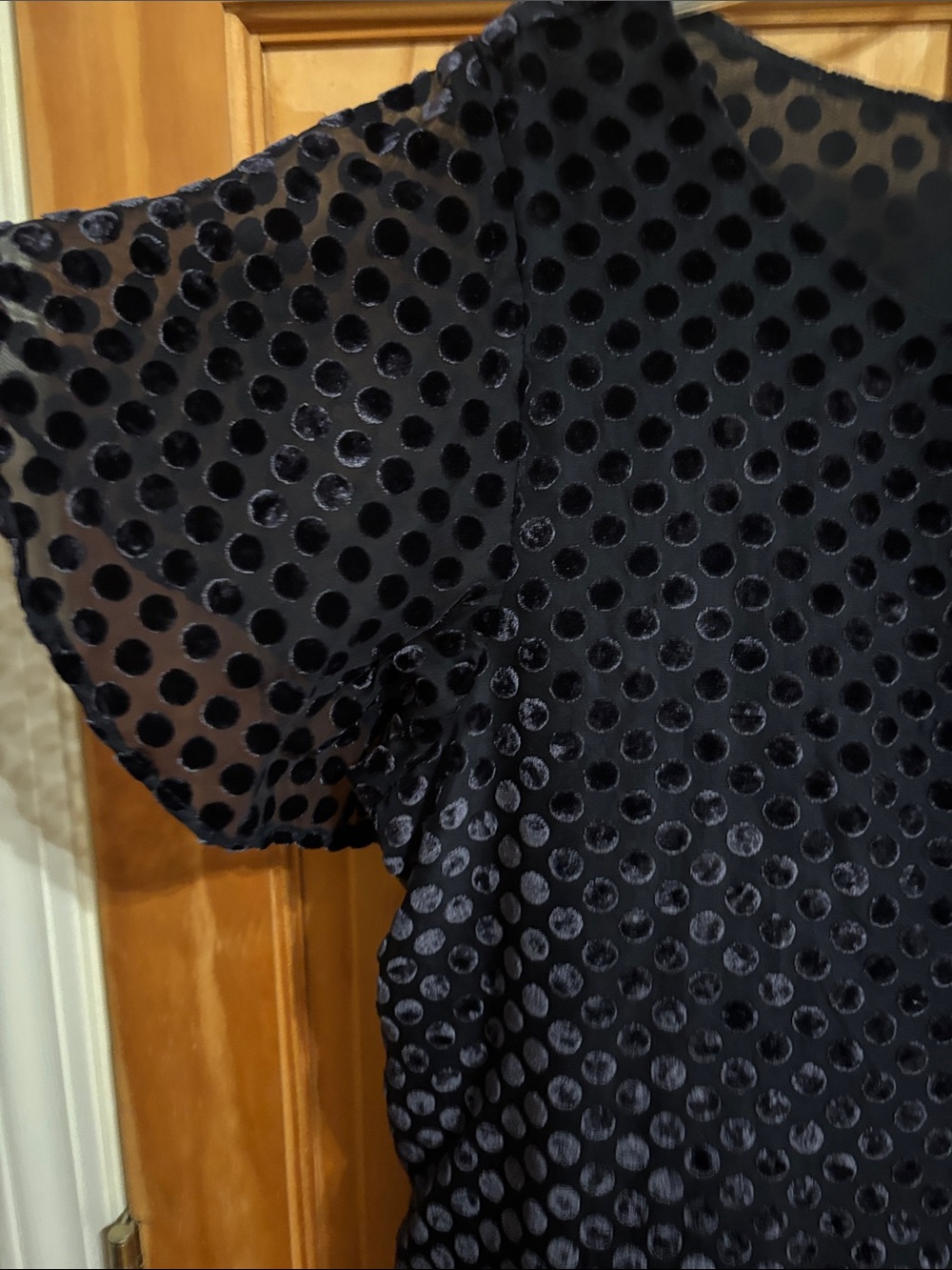 LOFT Navy Velvet Dot Short Sleeve Top - Picture 3 of 6